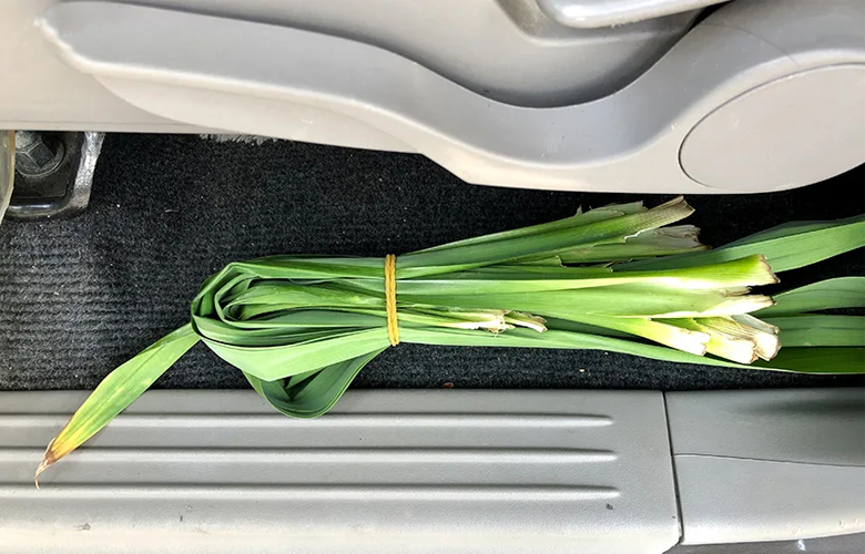 12 Cách khử mùi hôi trong xe ô tô đơn giản, hiệu quả